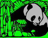 Dibujo Oso panda y bambú pintado por ssssssssssss