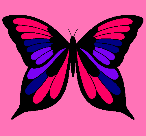 Mariposa