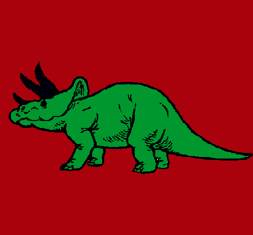 Triceratops