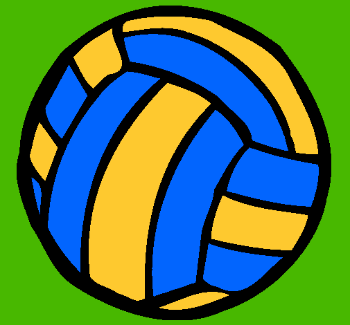 Pelota de voleibol