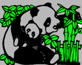 Dibujo Mama panda pintado por ssssssssssss
