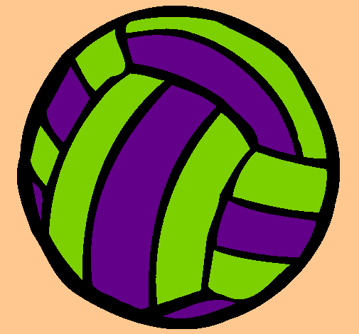 Pelota de voleibol