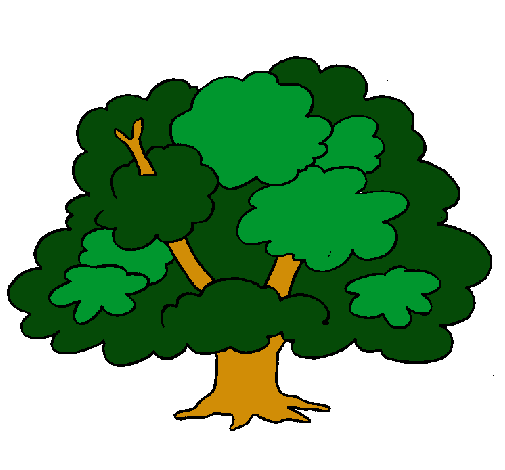 Árbol