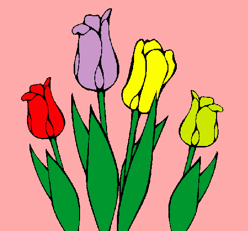 Tulipanes