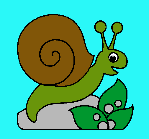 Caracol