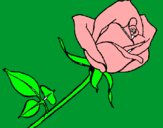 Dibujo Rosa pintado por lizethe