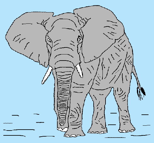 Dibujo Elefante pintado por catalinali