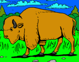 Dibujo Búfalo  pintado por malteada