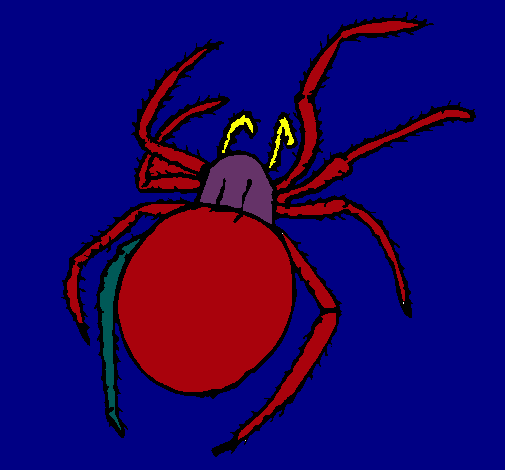 Araña venenosa