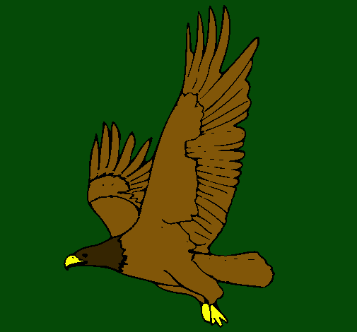 Águila volando