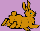 Dibujo Conejo contento pintado por ooo8