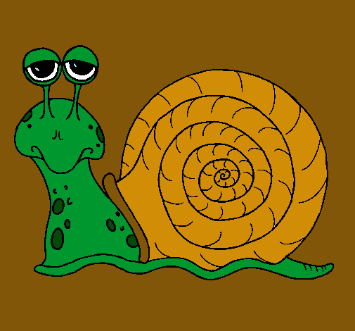 Caracol