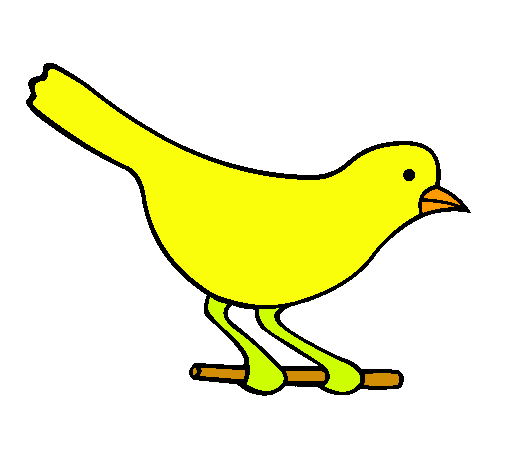 Pájaro 4