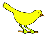 Dibujo Pájaro 4 pintado por canario