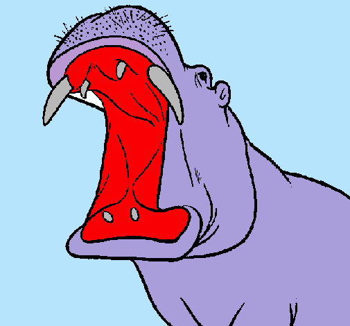 Dibujo Hipopótamo con la boca abierta pintado por catalinali