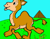 Dibujo Camello pintado por nazim