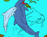 Dibujo Delfines jugando pintado por juggernuat