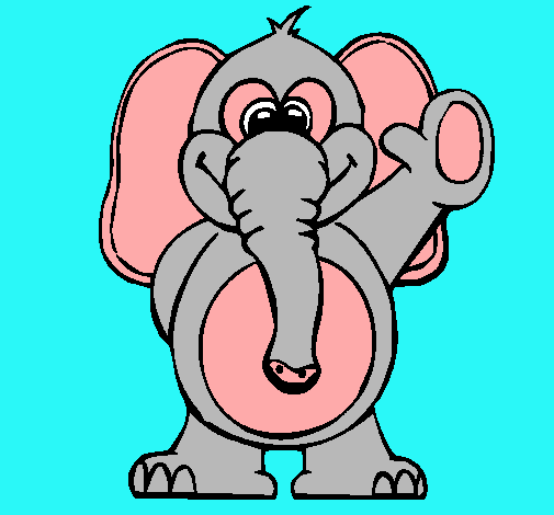 Elefante 2