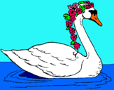 Dibujo Cisne con flores pintado por Nuria2005