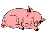 Dibujo Cerdo durmiendo pintado por gghjcdjmnhfv