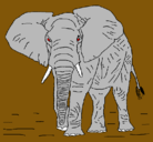 Dibujo Elefante pintado por fdjhftghjfyh