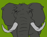 Dibujo Elefante africano pintado por elefat