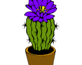 Dibujo Cactus con flor pintado por michinita