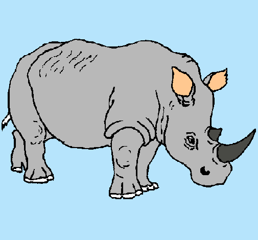 Dibujo Rinoceronte pintado por catalinali