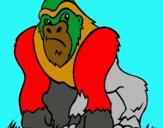 Dibujo Gorila pintado por adwfwfgdf