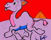 Dibujo Camello pintado por danielasembr