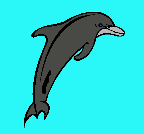 Dibujo Delfín adulto pintado por tory