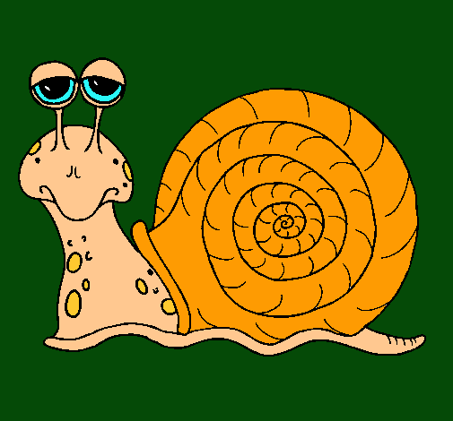 Caracol