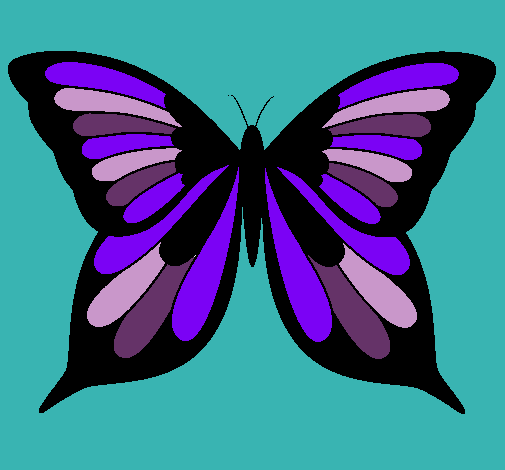 Dibujo Mariposa 8 pintado por dizzy