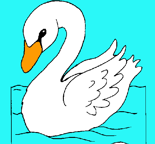 Cisne