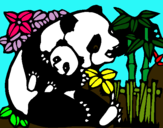 Dibujo Mama panda pintado por pandi