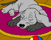 Dibujo Perro durmiendo pintado por cosetina