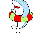 Dibujo Delfín con flotador pintado por wileidy
