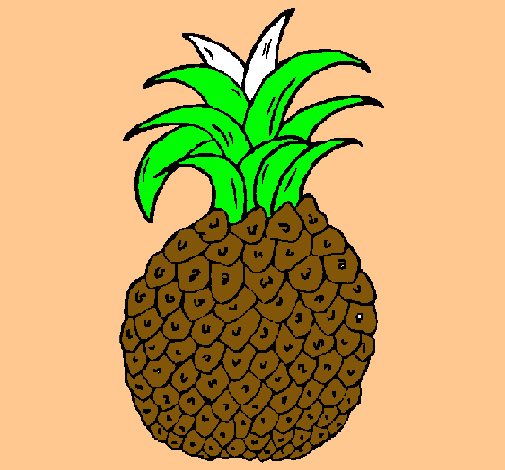 piña