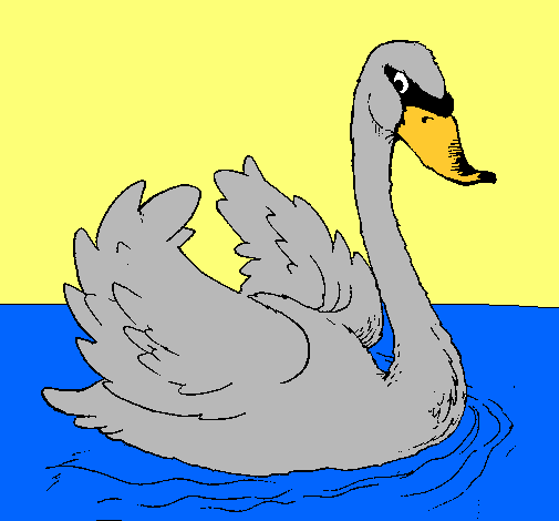 Cisne en el agua