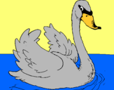 Dibujo Cisne en el agua pintado por luisfergil