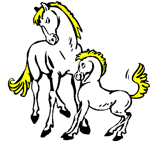 Caballos