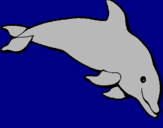 Dibujo Delfín contento pintado por mikeyla