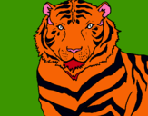 Dibujo Tigre pintado por lapreciosade