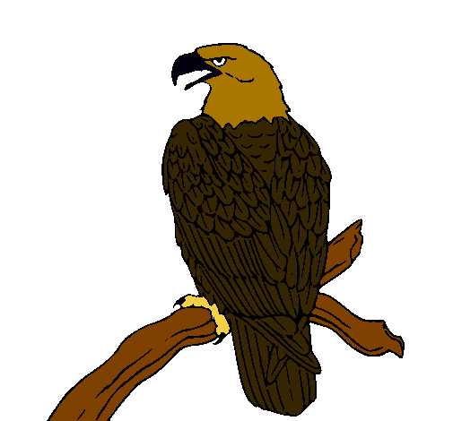 Dibujo Águila en una rama pintado por Ester22
