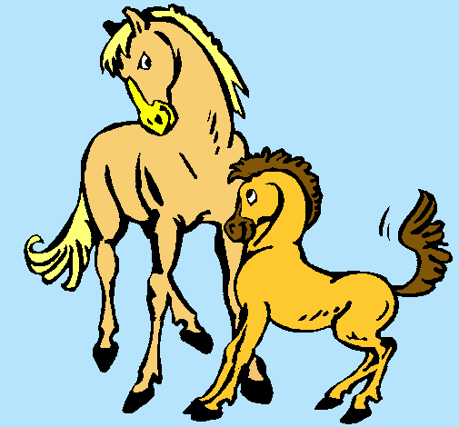 Caballos