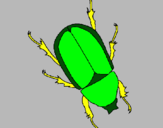 Dibujo Escarabajo pintado por urielzaid