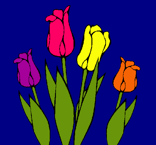 Tulipanes