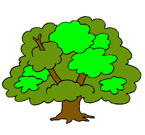 Árbol