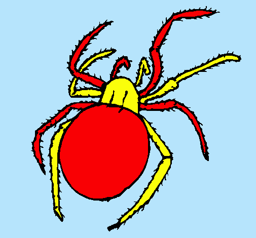 Araña venenosa