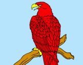 Dibujo Águila en una rama pintado por xghhvhdjgjbn